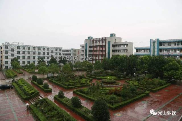 清华大学校河河水网售现象深度剖析